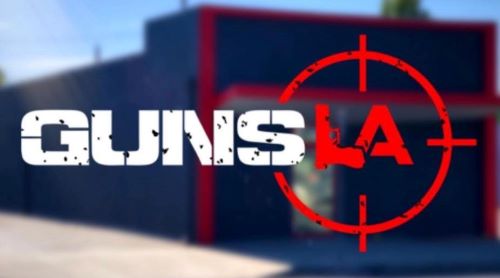 Guns%20LA%20500.jpg
