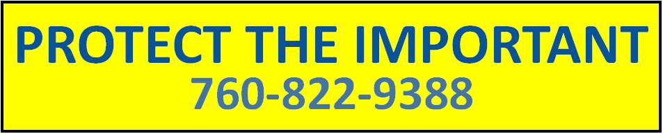 Protect%20The%20Important%20LLC.PNG