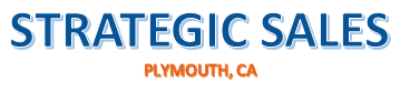 Strategic%20Sales.PNG