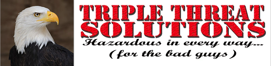 Triple%20Threat%20Solutions.PNG